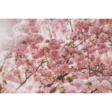 Цветы в корзине Монобукет романтический