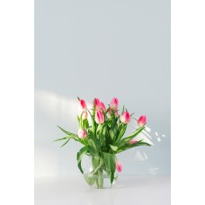 Экзотические цветы Цветы в коробке экзотический