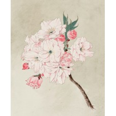 Авторский букет Букет экзотический