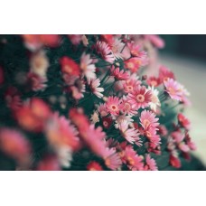 Букет Композиция романтический Букет Композиция романтический