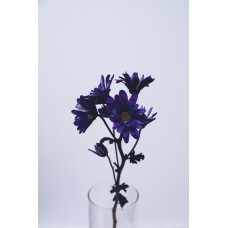 Авторский букет Цветы в коробке премиум Авторский букет Цветы в коробке премиум