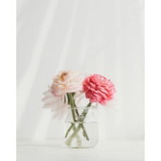 Полевые цветы Горшечное растение классический