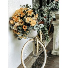 Экзотические цветы Горшечное растение классический Экзотические цветы Горшечное растение классический