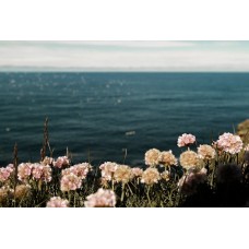 Авторский букет Букет сезонный