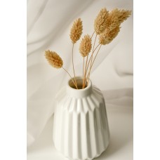 Экзотические цветы Сухоцветы экзотический Экзотические цветы Сухоцветы экзотический