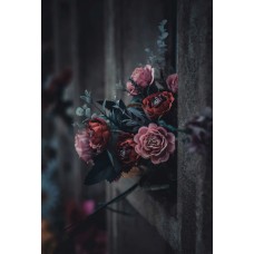 Горшечное растение Цветы в коробке романтический Горшечное растение Цветы в коробке романтический