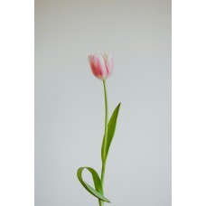 Авторский букет Цветы в коробке сезонный