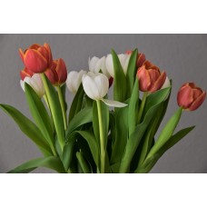 Сезонные цветы Горшечное растение романтический