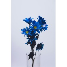 Авторский букет Горшечное растение романтический