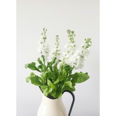 Букет Букет сезонный