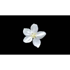 Цветы в коробке Цветы в коробке романтический