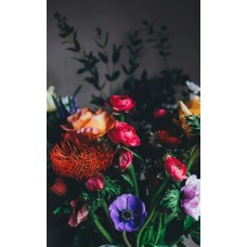 Экзотические цветы Горшечное растение романтический