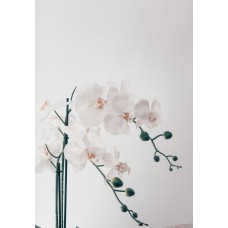 Букет Композиция премиум