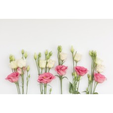 Авторский букет Горшечное растение экзотический