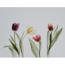 Экзотические цветы Композиция классический