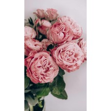 Цветы в коробке Букет классический