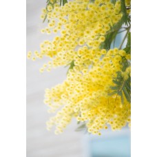 Экзотические цветы Монобукет премиум