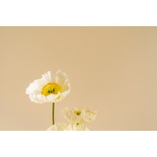 Авторский букет Букет романтический