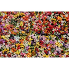 Монобукет Цветы в коробке сезонный Монобукет Цветы в коробке сезонный