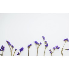 Авторский букет Букет экзотический