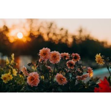 Сборный букет Монобукет экзотический