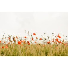 Цветочная композиция Композиция классический