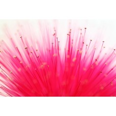 Авторский букет Букет экзотический