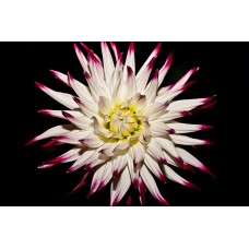 Подарочный набор Букет классический