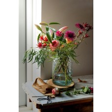 Горшечное растение Монобукет романтический Горшечное растение Монобукет романтический