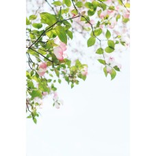 Экзотические цветы Букет романтический