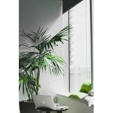 Eluktronics EliteBook 13 Gen 8