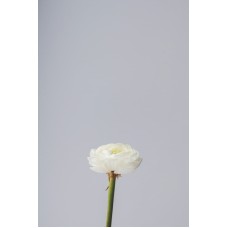 Экзотические цветы Букет классический