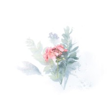 Цветочная композиция Букет экзотический Цветочная композиция Букет экзотический