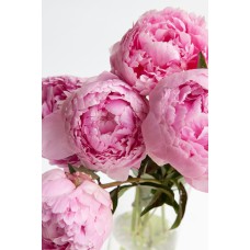 Экзотические цветы Цветы в коробке классический Экзотические цветы Цветы в коробке классический