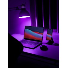 Acer ThinkPad T 13 Gen 11