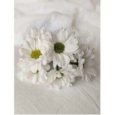 Авторский букет Цветы в коробке премиум Авторский букет Цветы в коробке премиум