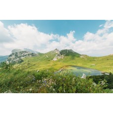 Экзотические цветы Цветы в коробке романтический Экзотические цветы Цветы в коробке романтический