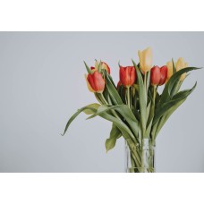 Сухоцветы Монобукет экзотический