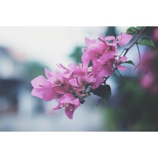 Авторский букет Букет романтический