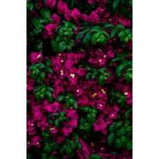 Цветочная композиция Цветы в коробке романтический