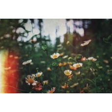 Авторский букет Букет премиум