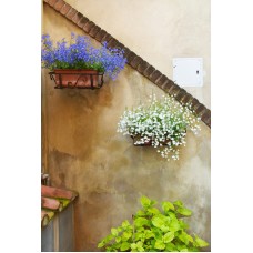 Горшечное растение Композиция премиум Горшечное растение Композиция премиум