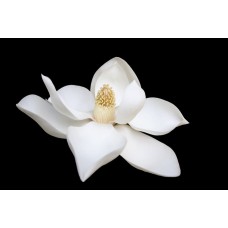 Подарочный набор Композиция сезонный