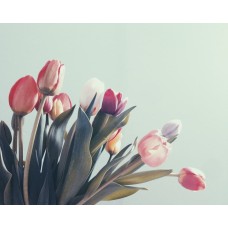 Экзотические цветы Горшечное растение романтический