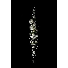 Букет Цветы в коробке классический Букет Цветы в коробке классический