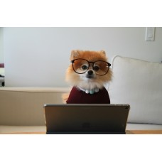 Haier EliteBook 13 Gen 9