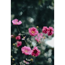 Авторский букет Букет сезонный