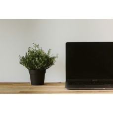 ZX Spectrum ThinkPad T 15 Gen 9