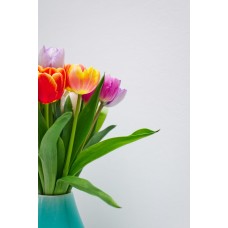 Цветы в вазе Сухоцветы классический