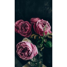 Экзотические цветы Сухоцветы классический Экзотические цветы Сухоцветы классический